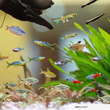 С�~�~�����B���Q�~�׵�ˮ���^�p�~����վ�B����l���ͻ�С��.�S