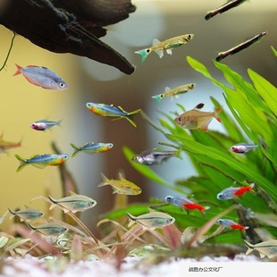 С�~�~�����B���Q�~�׵�ˮ���^�p�~����վ�B����l���ͻ�С��.�S