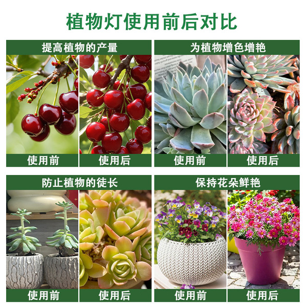 LED plant lamp