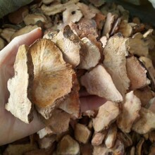 ������Ƭ��؛500�˟o�������߷ǰ����߉K���������߸�����