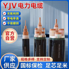定制厂家批发YJV电缆铜芯单芯0.6-1KV电力电缆铜线电缆