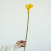 Yellow, small