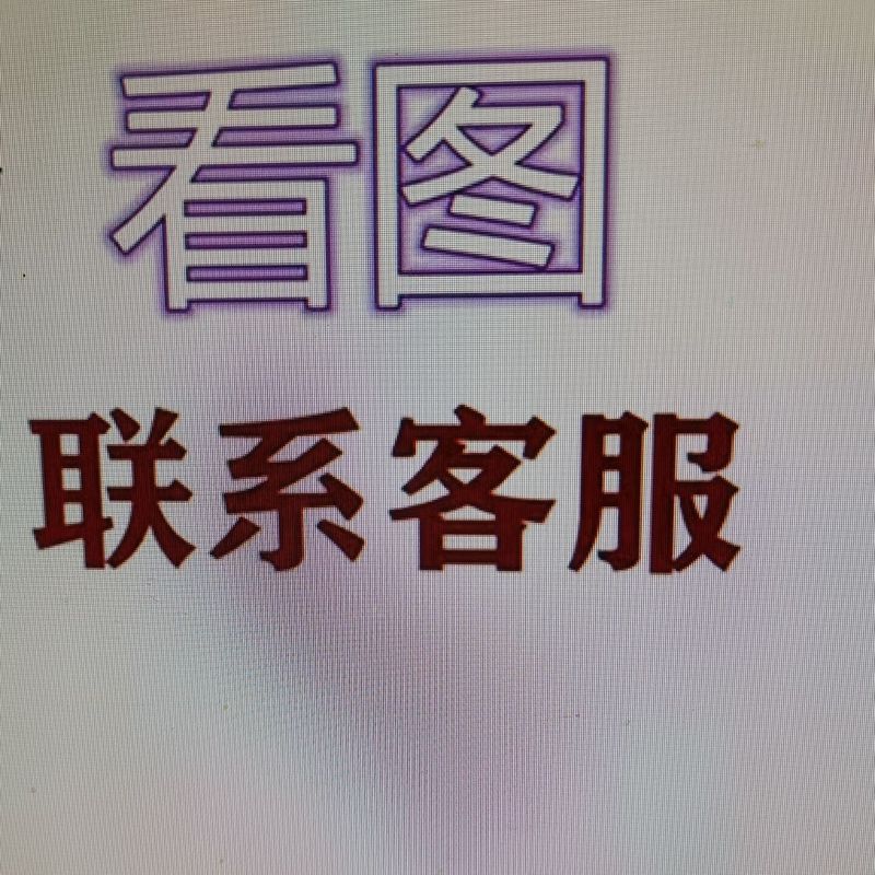 中華民国軍兵士男性沙家浜胡司令胡伝桂廖徳儀軍服舞台衣装|undefined