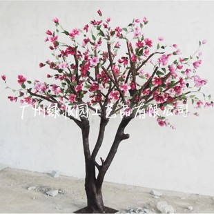 ُ���̳Ǒ���V���G���쾰���ô��ͷ���𻨘� ������ܹ𻨘�