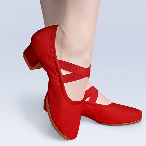 Dance teacher shoes outdoor adult mid-heeled female belly classical ethnic modern dance practice without lace-up ballet dance