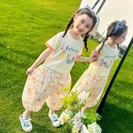 女童套装夏季新款夏装洋气儿童薄款短袖防蚊裤两件