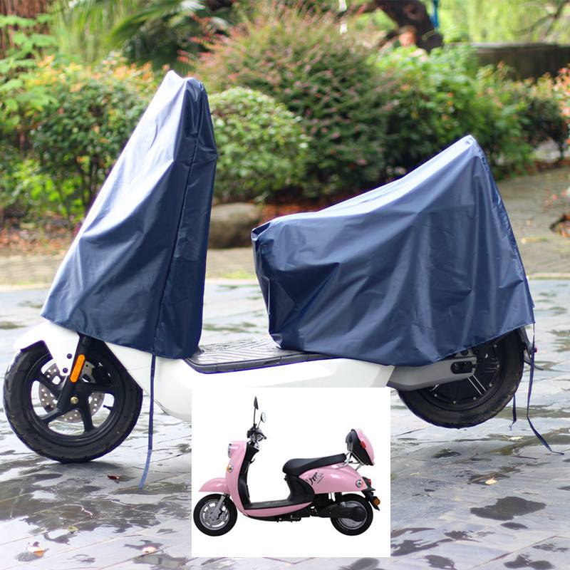 네이비 블루 헤드 + L 사이즈 테일