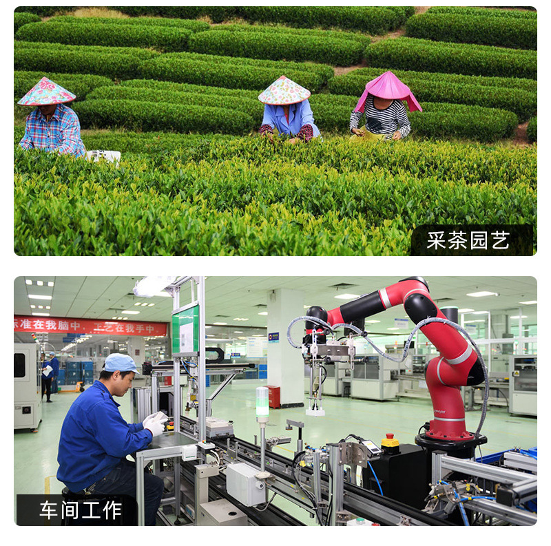 五指手套_12.jpg