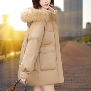 �̿��ë�I��q��Ůʿ2024�Ӻ��b�¿����ůС���Ӌ�������