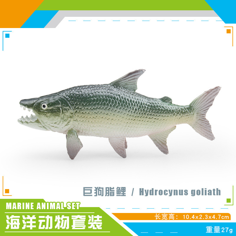 Transfronteriza simulación animal marino atún pargo real ganado puerto bajo salmón modelo adornos