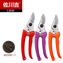 ̨��������130w��֦���������֦��@ˇ��֦�����M���辰�����G��