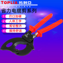 TOPLIA������CC030001����ʡ�����¼�CC030002���¼����¼����߼�