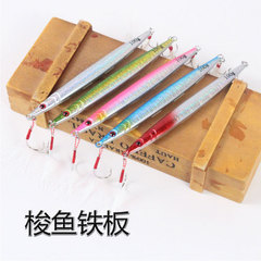 Deep Sea Bluefish Iron Plate 60g-100g Glow-in-the-Dark Iron Plate Outdoor Fishing Long Casting Lead Fish Sea Fishing Boat Fishing Lure