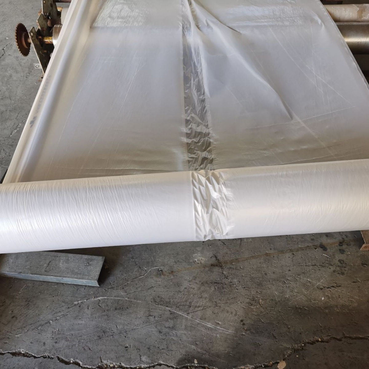 �ɻ���Ĥ����Ĥ����Ĥ����Ĥ