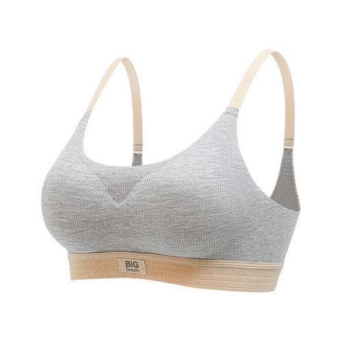 Skin-friendly threaded seamless underwear for women without rims, small breast push-up, fashionable casual sports anti-sagging lightweight bra