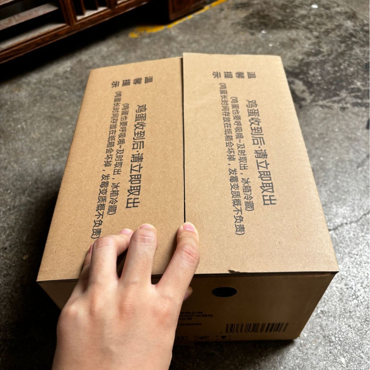 2024-09-26 15:18:42.jpg