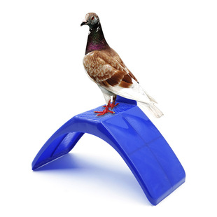 ���ϗ�Ϣվ�� ِ�������W�^ͨ�� �B�\���h�Bֳ��Ʒ���Q�羳����