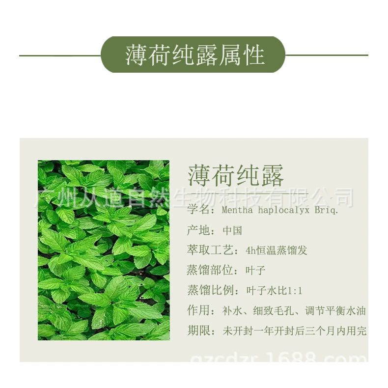 Образец сырья сливк геля ливня косметик лосьона завода тонера брызг чистой росы мяты моистуризинг охлаждая