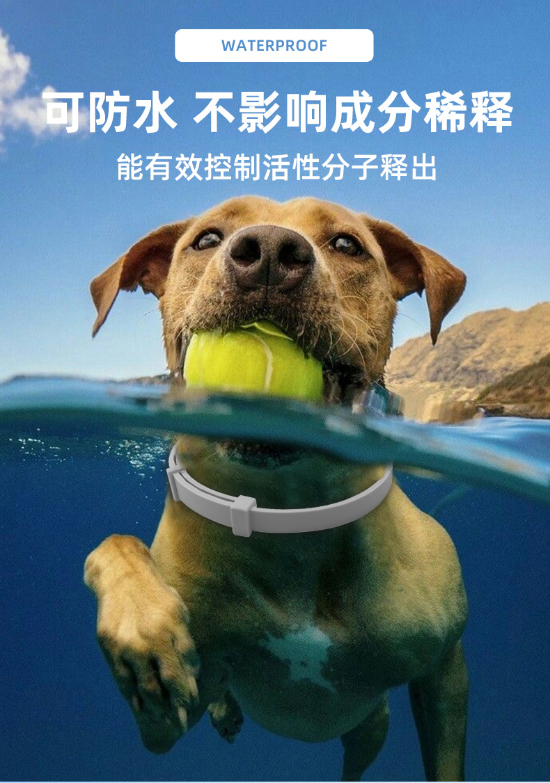 O1CN01RUUu4x1UGvZmOl99G_!!2212730282491-0-cib.jpg?__r__=1722315852218