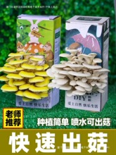 ƽ���N�Ӻ��Ӄ�ͯ�Nʳ�þ����ҷNĢ���Nֲ����Ģ��������ͥ�b���]