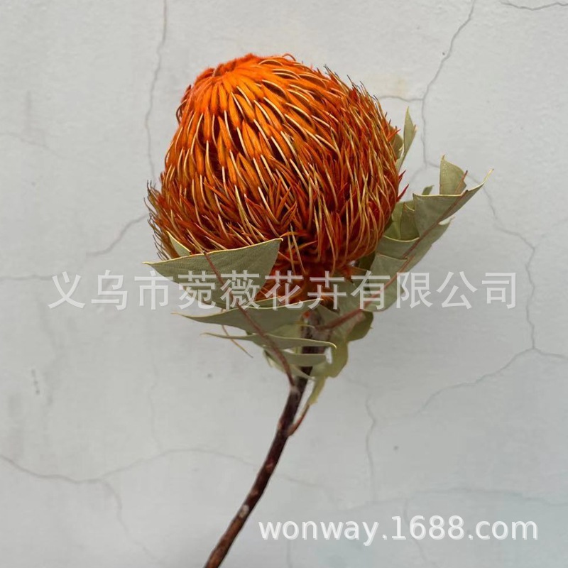 微信图片_20210321203335