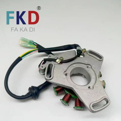 Magneto Flywheel + Coil Is – damping system