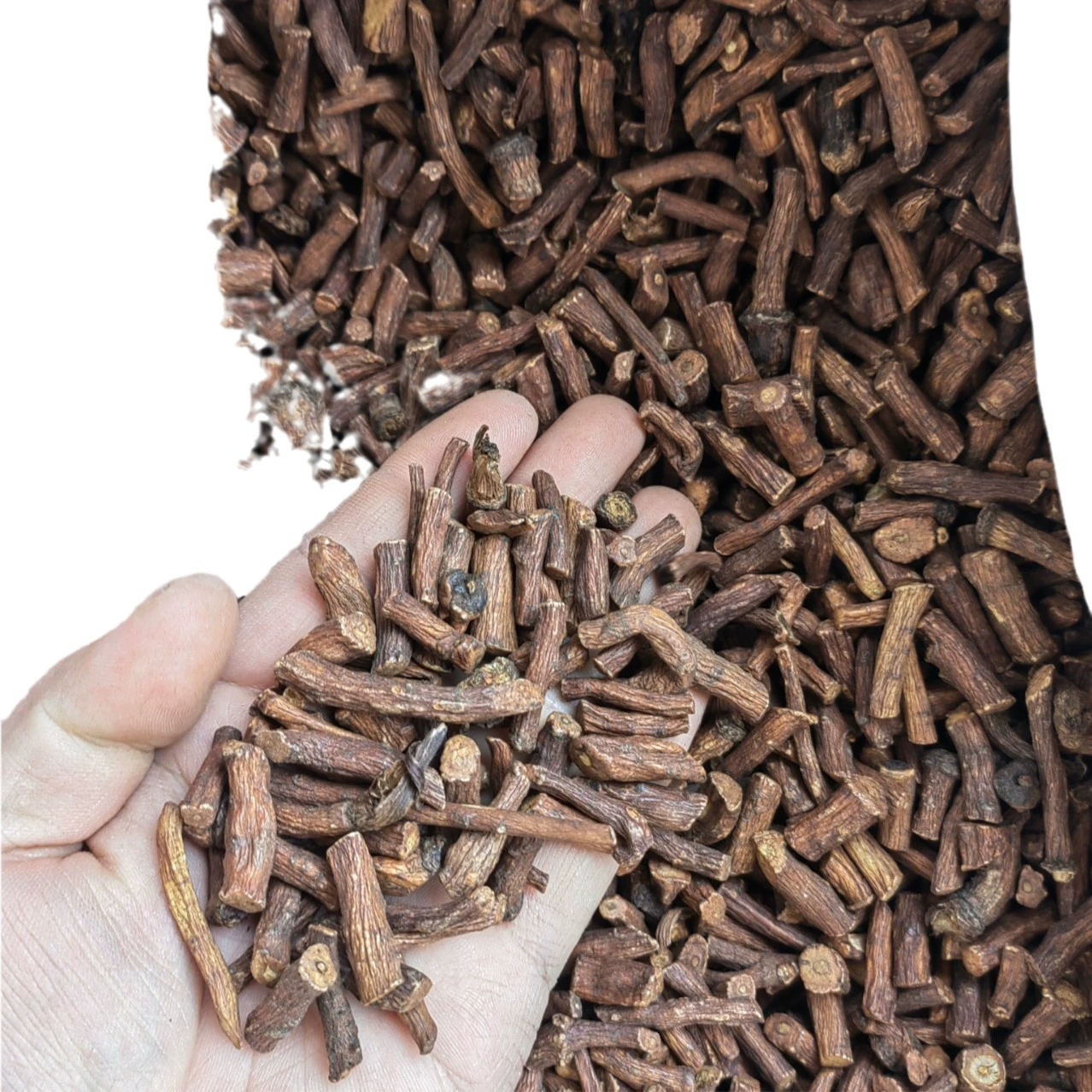 【Wholesale】Dandelion root Changbaishan dandelion tea New goods dandelion root dandelion root Various herbal teas