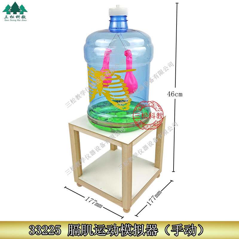 膈肌运动模拟器 J33225 中学生物实验器材模型 初中高中 教学仪器