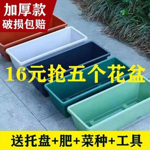 Horun basin balcony vegetable pot rectangular flower pot berry vegetable planting box plastic flower pot free shipping wholesale