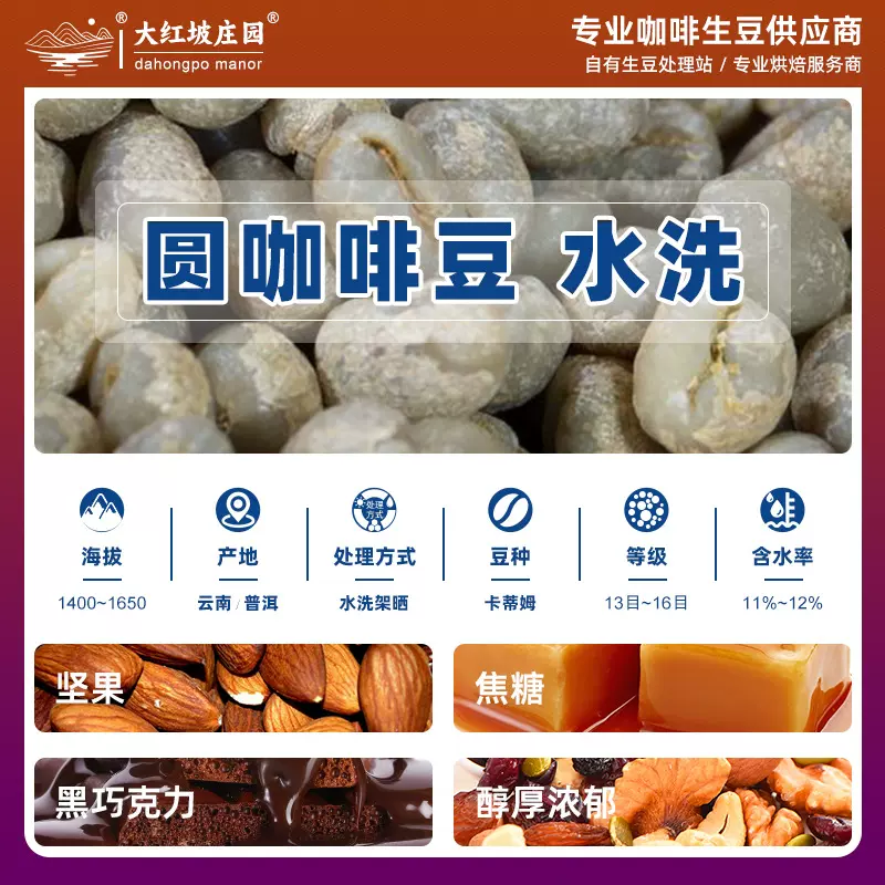 水洗云南小粒阿拉比卡咖啡生豆 圆豆公豆 手冲商用优质批发