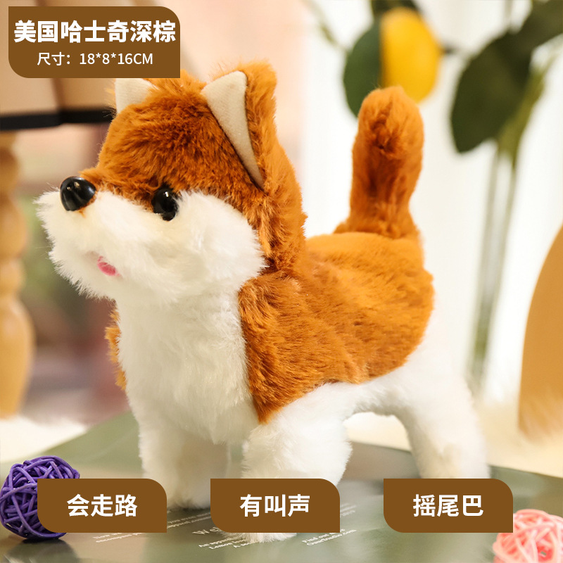 El husky americano Brown