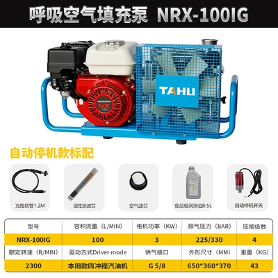 Hava kompressorları: Air Breathing Apparatus Inflator - nrx-100ig-gasoline-automatic-comes-standard-comes-with-oil-filter-element