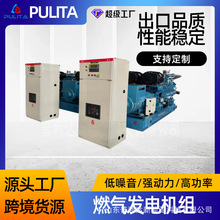 PULITA�l늙C����˹150kwȼ��l늙C��Ȼ��l늙C�Ӛ�l늙C�M