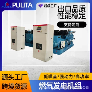 发电机组定制250KW燃气发电 康明斯系列 300kW天然气燃气发电机