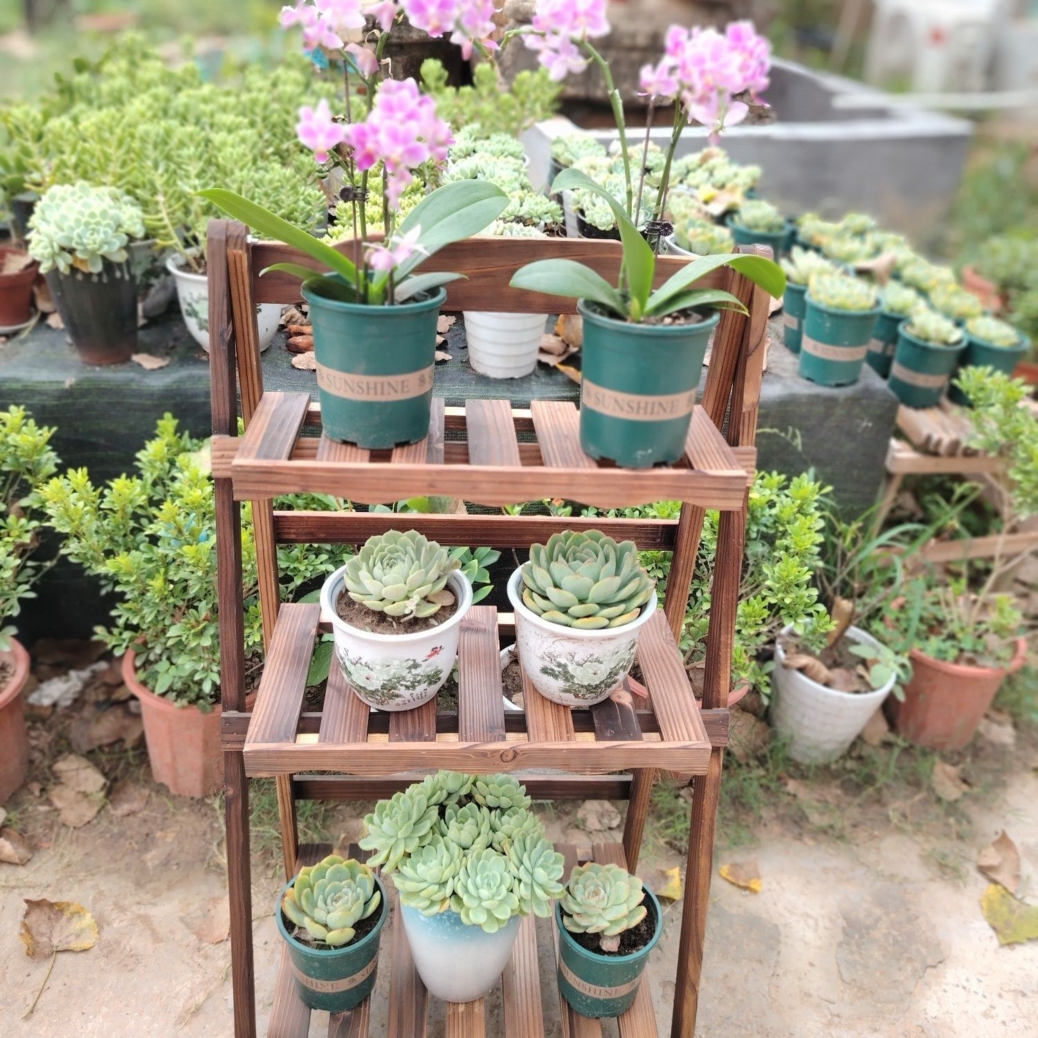 클래식 골판지 꽃꽂이 브라운