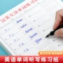单词英语英汉小学生练习纸