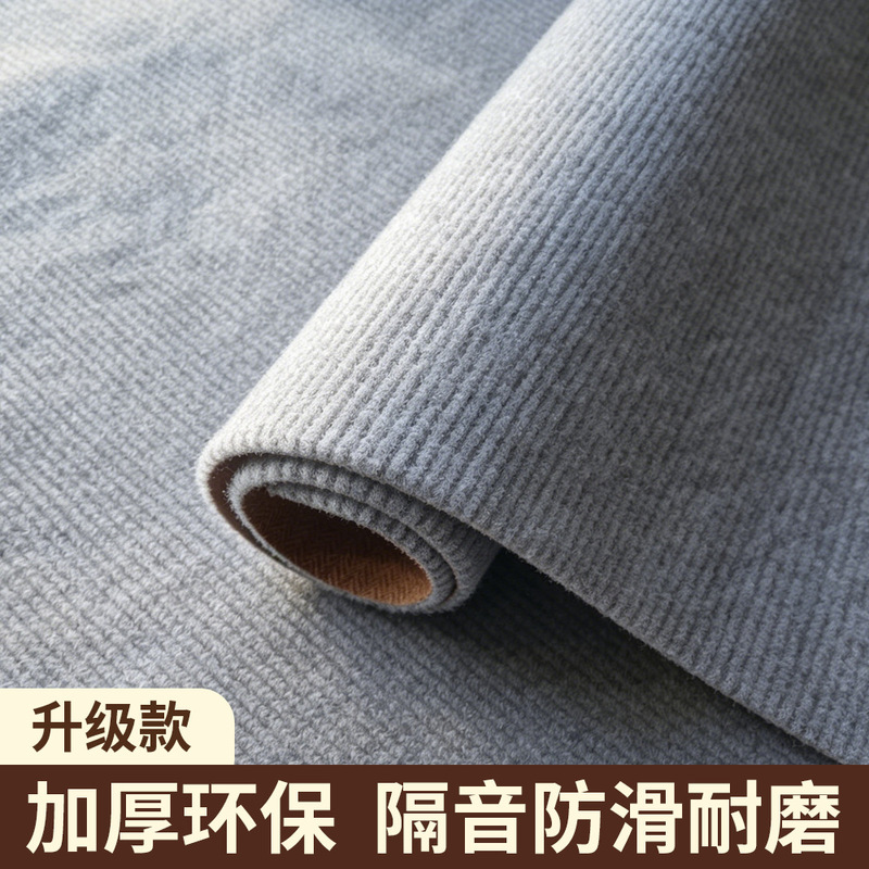 Living Room Door Mat, Entrance Door Mat, Waterproof and Stain-Resistant Commercial Studio Mat, Photo Studio Mat, Kitchen Floor Mat