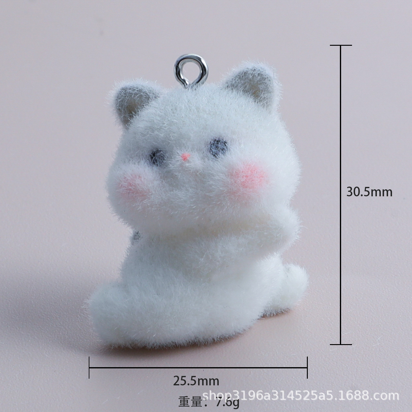 쿵푸 고양이
