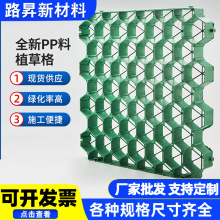 成都hdpe塑料植草格栅新材料草坪格停车场用专用网植草板厂家批发