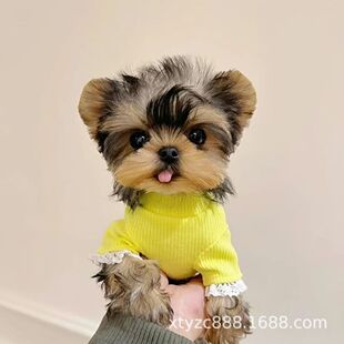 �s������Ȯ���N���w�s����Ȯ���̽��^�y����ɫ�豭Ȯ�s���Č��ﹷ