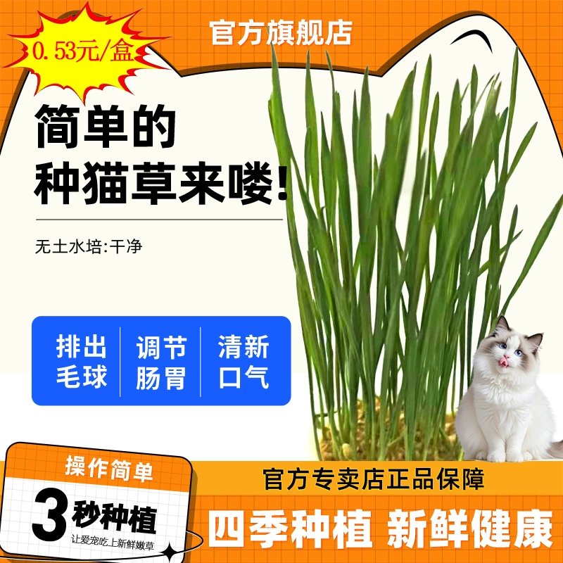 Прямые поставки от производителя: набор для выращивания кошачьей травы без почвы, шарик для чистки полости рта и удаления шерсти, оптовые закуски для кошек.