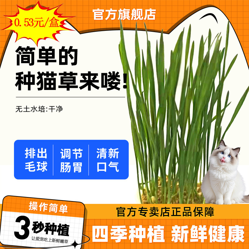 Factory Direct Supply of Soilless Cat Grass, Oral Cleaning and Hair Removal Ball Cat Grass Cultivation Set, Cat Snacks Wholesale Factory Direct Supply of Soilless Cat Grass, Oral Cleaning and Hair Removal Ball Cat Grass Cultivation Set, Cat Snacks Wholesale