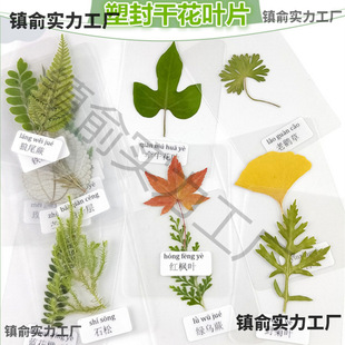 �^�ܸɻ������ܷ�ֲ��˱��^�ܕ�������~�J�R�~�ӻ��ݕ������˺�