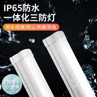 ✅ Led Strip Integrated Strip Waterproof Outdoor Three-Proof Freeze-Proof Cold Storage Workshop Factory Bathhouse Super Bright Fluorescent Lamp