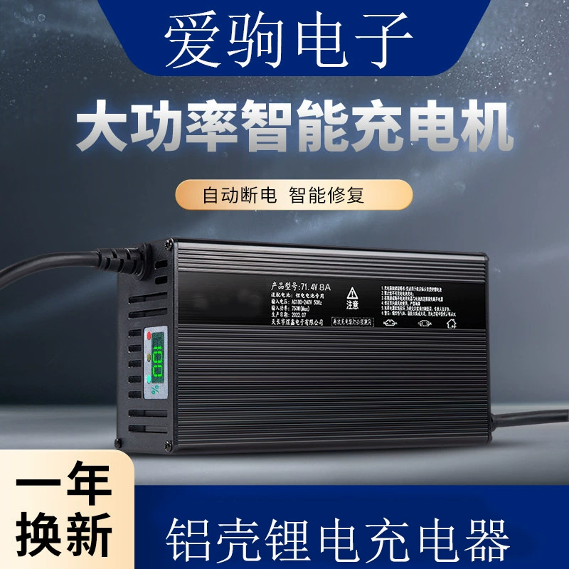 Отображение номера литиевой батареи 48V60V72V8A10A12A5 тройное литий-железное Автоматическое отключение питания Мощное зарядное устройство для быстрой зарядки