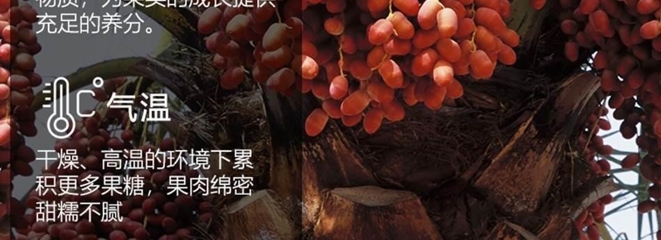 Dried Dates Jujube Golden Desert Black Dates Original Milky Flavor Xinjiang Specialty 2000g specifications