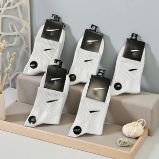�m�����l�����K�f�̈́w˹���ļ���Ͳ�ܲ��m�\���m����Ů��ڰ׹���