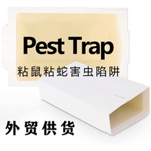 ���R�d؛Դճ���������ճ���mouse rat trap�羳���������