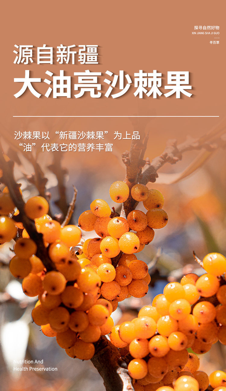 Dried Sea Buckthorn Berries Sha Ji 500g Wild Sea Buckthorn Tea Fruit Herbal Snack quality and texture