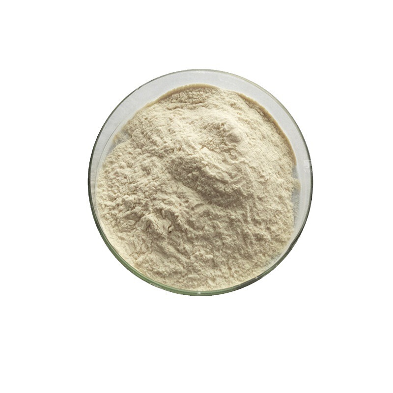 ナットウキナーゼ90% ナットウキナーゼ ナットウキナーゼ卸売 ナットウキナーゼ1g20000FU 100g|undefined